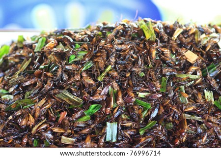 Caramel Grasshopper as snack in Thailand