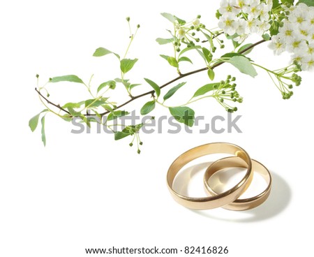 stock photo Wedding background with the rings and white flowers