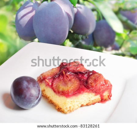 Plum cake on a plate, background plum tree.