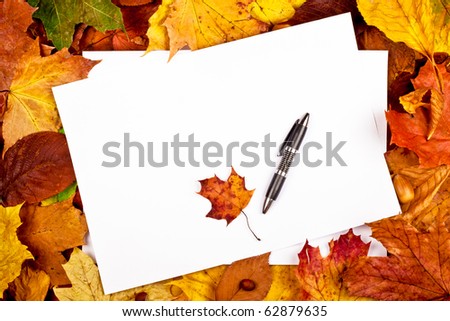Colorful business frame of fallen autumn leafs