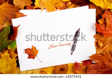 Colorful business frame of fallen autumn leafs