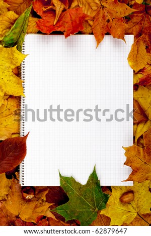 Colorful business frame of fallen autumn leafs and a copybook