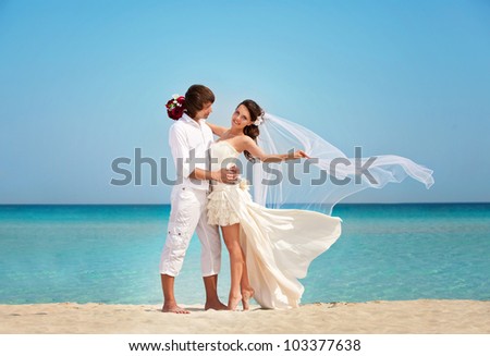 beautiful wedding couple on the beach. the bride and groom celebrate their wedding on the beach