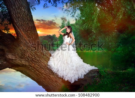 charming bride in a white wedding dress stay on the tree over the lake against the sky at sunset