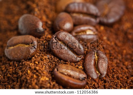coffee beans are in the ground coffee closeup