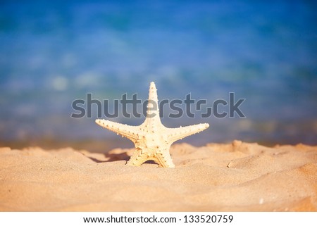ocean star on the sea background