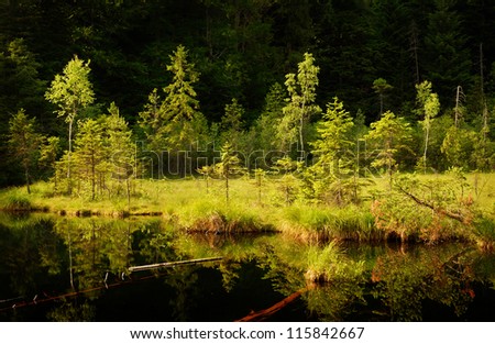 serene lake in forest with dark deep water