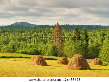 scenic view at far mountain with hay stacks on meadow in foreview