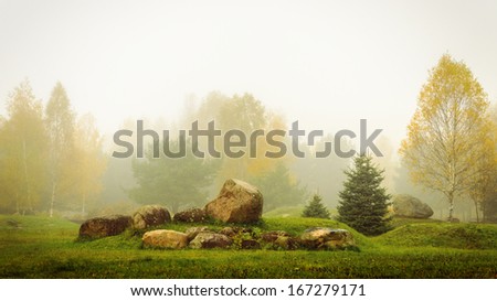 view of autumn park with golden birches and transparent fog