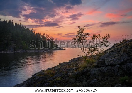 delicate colors of sunset over the mountain lake