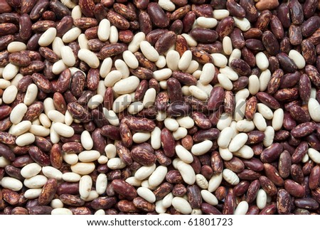White and red bean background