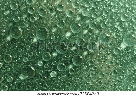 grass green water drops background