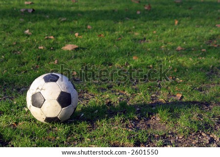 Football ball on the grass in the park