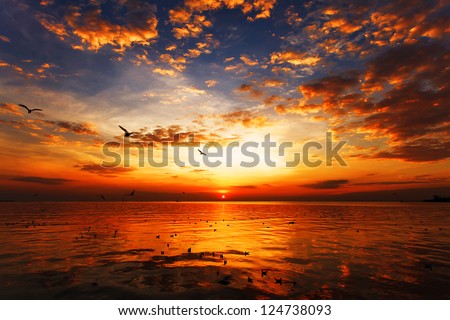 Sunset On The Beach With Beautiful Sky