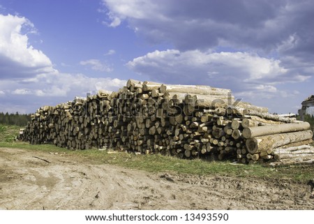 The prepared forest product for export