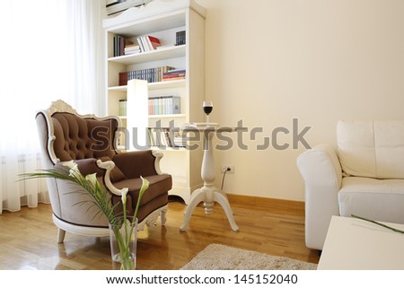 Designed armchair in modern living room with library shelves