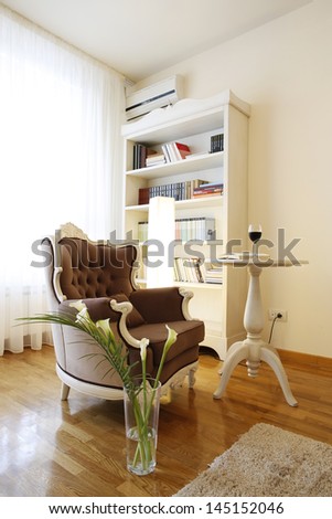 Designed armchair in modern living room with library shelves