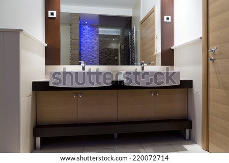 Modern home bathroom