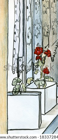 hand-drawn illustration of two flowers pots with red geranium on a window sill.