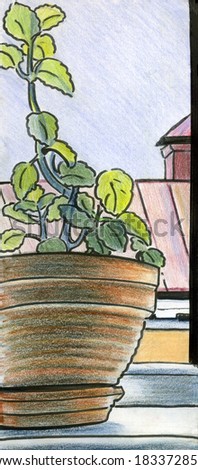 hand-drawn image of a flower pot with mint with a window view of a rooftop across the street