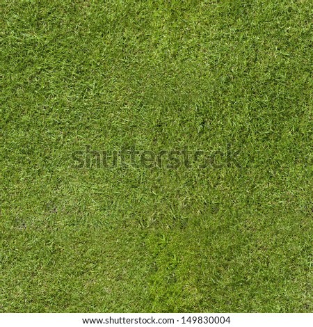 Repeating green weed free close cut grass lawn. Tileable wallpaper repeats left, right, up and down.