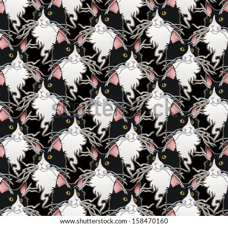 Tuxedo cat with crazy whiskers wallpaper