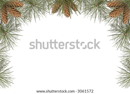a frame of pine needles and pine cones