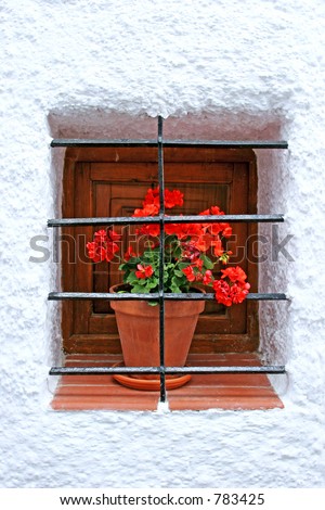 Pretty red potted plant on window sill with bar protection