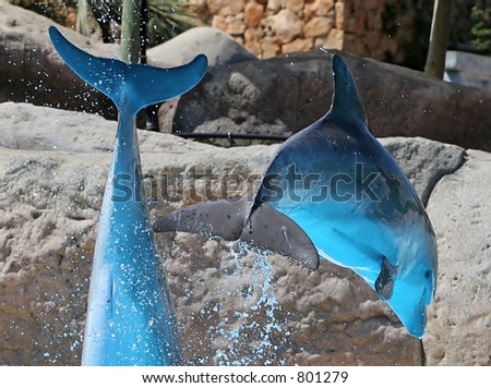 A pair of Bottle-nosed dolphins jumping out of water at a show and the color of the water turns their bodies blue in the sun