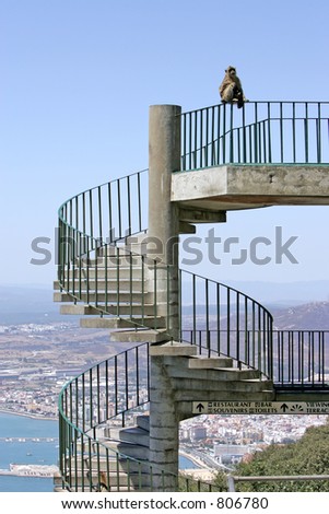 Single Barbary Ape or monkey sitting on top of spiral steps on the top of the rock of Gibraltar