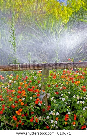Wooden fence surrounded by colorful flowers with water sprinkler in the background