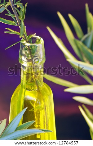 Extraction of the essential oil of the olive tree and rosemary for nourishment and natural therapies