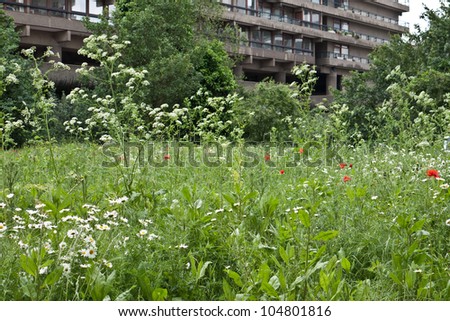 LONDON, UK-JUNE 9: A wild flower meadow surrounded by high rise buildings part of the Barbican Estate, Fann Street Garden open for the Open Garden Squares Weekend, June 9, 2012 in London UK