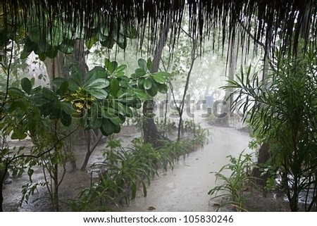 Atmospheric background image of a deserted path winding its way through a misty tropical park in the rain