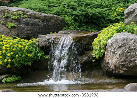 Waterfal with yellow flowers