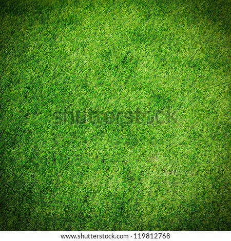 Green Grass Texture For Background