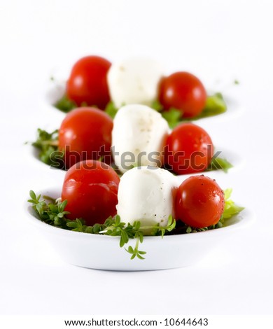 Appetizers with cherry tomatoes and mozzarella garnished with watercress salad and olive oil