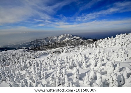 Natural Wonders of Snow Monster at Zao On-sen Ski Resort