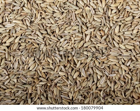 Heaps of dried fennel seeds usable as a background