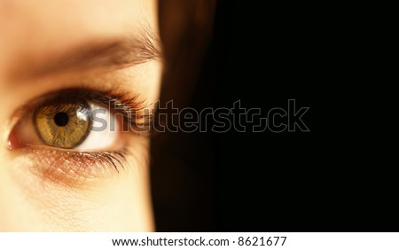 Low key image of a beautiful green eye