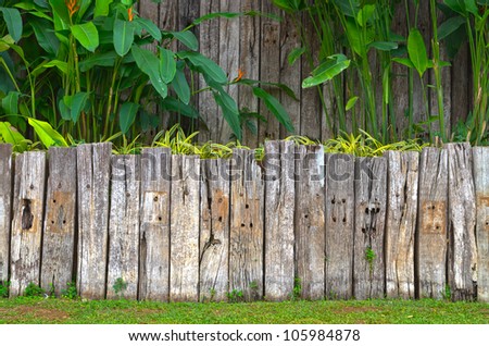 old wooden fence in garden with plant