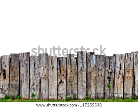 old wooden fence in garden with plant