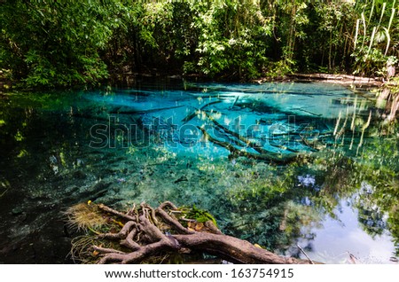 Sa Nam Phut is beautiful spring pool formed from the hot spring under the earth crust which is indigo blue and pop op  on the time in the forest national park at Krabi province, Thailand