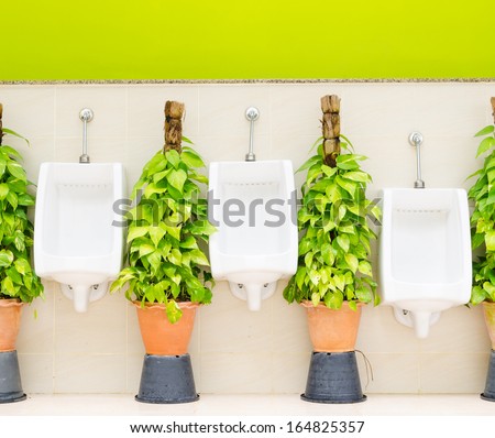 The modern style decorative restroom interior design with white urinal row and green ornamental plants