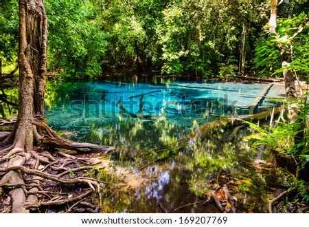 Sa Nam Phut Is Beautiful Spring Pool Formed From The Hot Spring Under The Earth Crust Which Is Indigo Blue And Pop Op On The Time In The Forest National Park At Krabi Province, Thailand