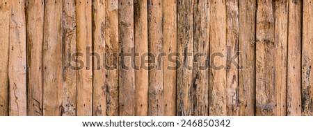 background pattern nature detail of wood texture decorative furniture surface