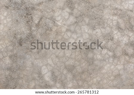 background and texture on finishing floor in vintage style gray color of Polished concrete surface and cracked