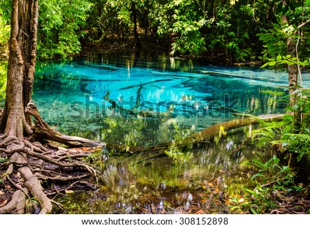 Sa Nam Phut is beautiful spring pool formed from the hot spring under the earth crust which is indigo blue and pop op  on the time in the forest national park at Krabi province, Thailand