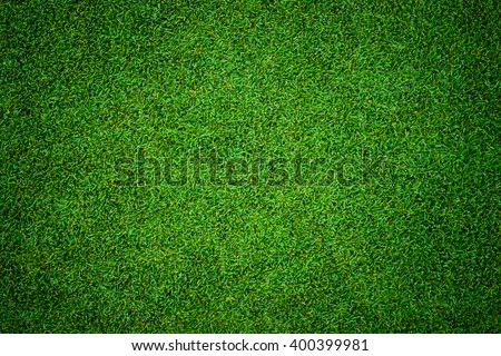 close up background of beautiful green grass pattern from golf course at sunset time