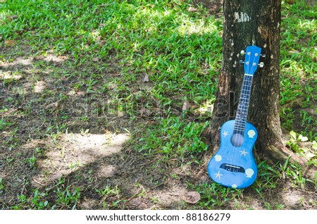 hawaiian traditional instrument ukulele guitar in garden